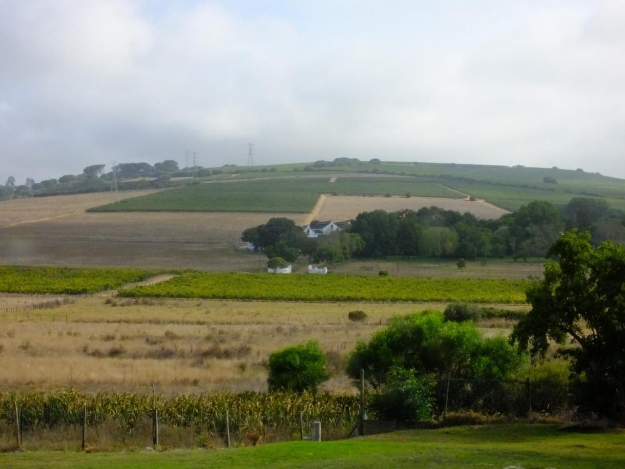 Lauradale Accommodation Stellenbosch Eksteriør bilde