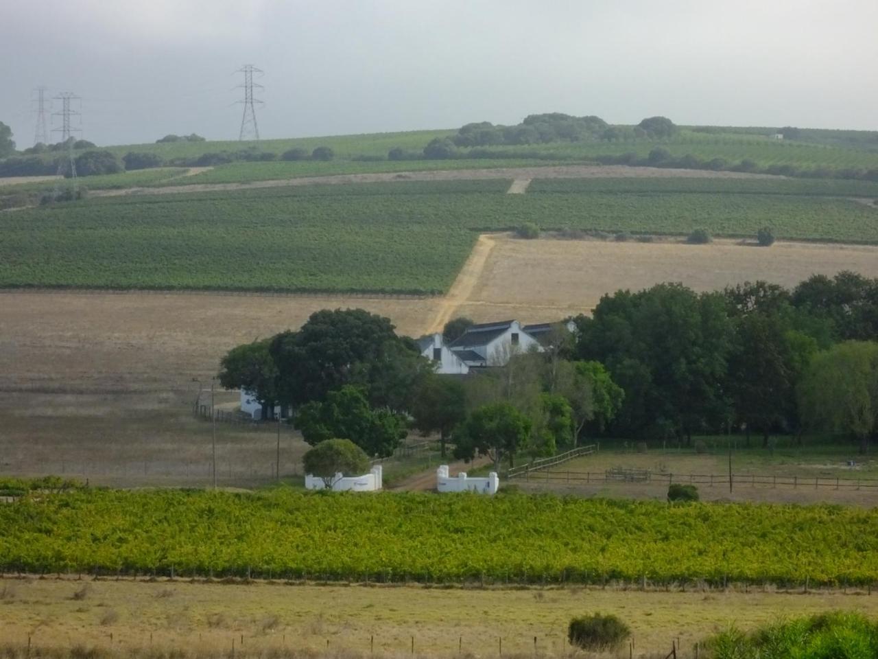 Lauradale Accommodation Stellenbosch Eksteriør bilde